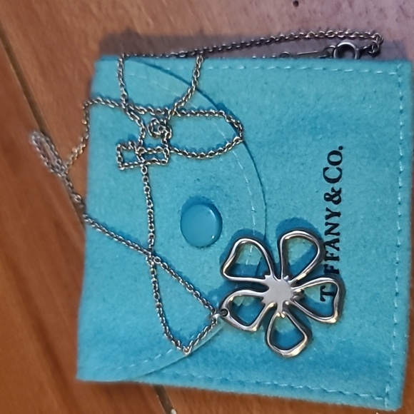•{ t i f f a n y & c o }• - Picture 5 of 5